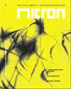 Rivista Micron - Anno Secondo numero 4 Maggio - Agosto 2005