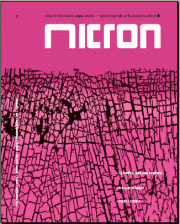 Rivista Micron - Anno Secondo numero 3 Gennaio 2005